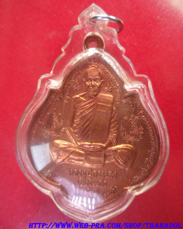 หลวงปู่กาหลง เขี้ยวแก้ว วัดเขาแหลม เหรียญนารายณ์พลิกแผ่นดิน เนื้อทองแดง ตอก2โค๊ด รันno.4989