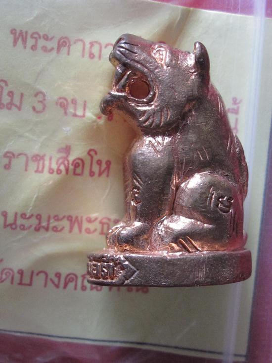 เสือโหรุ่นแรก ลพ.ตี๋ วัดบางคณฑีใน สมุทรสงคราม ตอกโค้ต มีจาร...1A