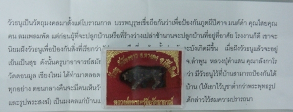 วัวธนูวัดโขงขาว ปี 2518 หลวงพ่อฤาษีลิงดำ หลวงปู่คำแสน  อธิษฐานจิต พร้อมใบฝอย  +++++เคาะเดียว