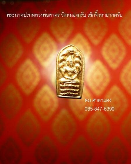 พระนาคปรก หลวงพ่อสาคร วัดหนองกรับ