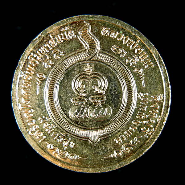 เหรียญกลมโภคทรัพย์เศรษฐี หลวงพ่อแพ วัดพิกุลทอง จ.สิงห์บุรี เนื้อทองแดงกะหลั่ยทองสวยวิ้ง