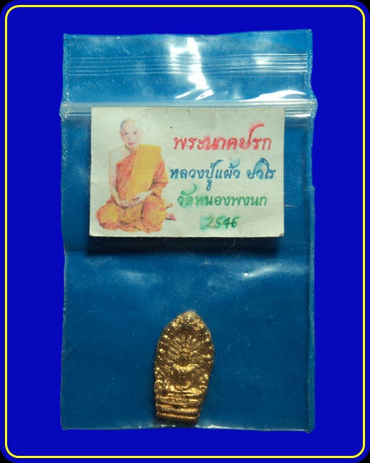 พระนาคปรก หลวงปู่แผ้ว วัดหนองพงนก นครปฐม ปี46