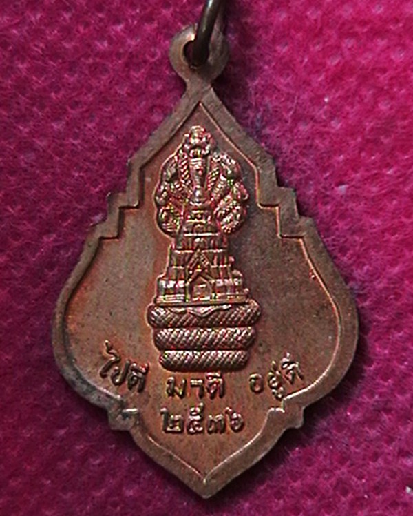 เหรียญหลวงปู่คง จตฺตมโล คงทอง อายุ ๘๐ปี  ปี๓๖
