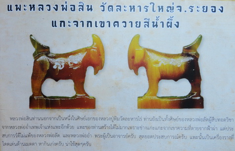 แพะ เขาควายเผือก หลวงพ่อสิน วัดละหารใหญ่ ตัวที่ 55