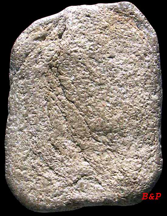 *ลพ.ปาน วัดบางนมโค...ทรงเม่น บัวแปด*