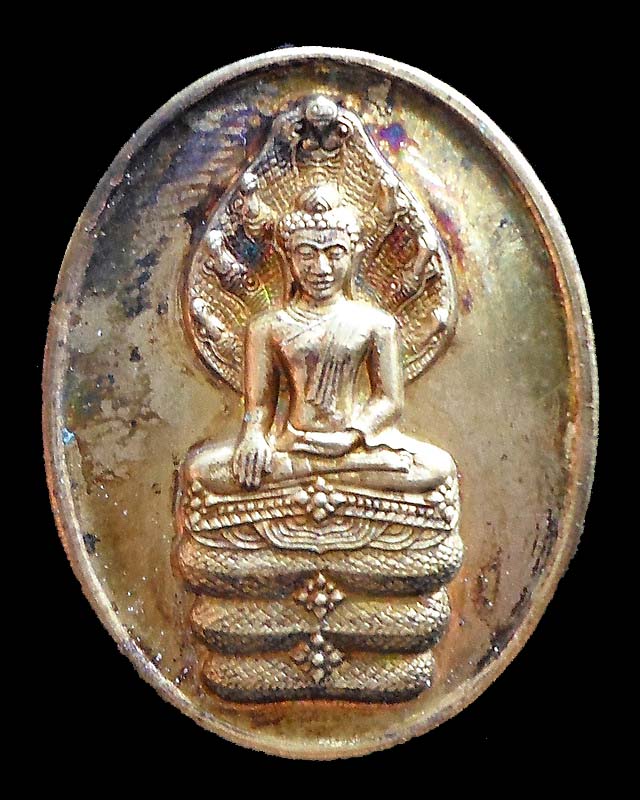เหรียญนาคปรก หลวงพ่อแพ วัดพิกุลทอง