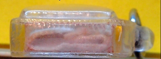 รูปครูบาขาวปี ครูบาชัยยะวงศาพัฒนา หลังผ้ากับสำสี