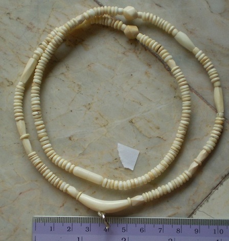 สร้อยงาช้างล้วน   ห่วงกลางโค้ง  เคาะเดียว  