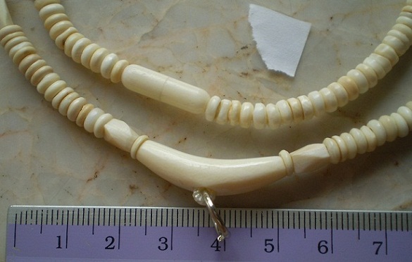 สร้อยงาช้างล้วน   ห่วงกลางโค้ง  เคาะเดียว  