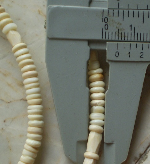 สร้อยงาช้างล้วน   ห่วงกลางโค้ง  เคาะเดียว  