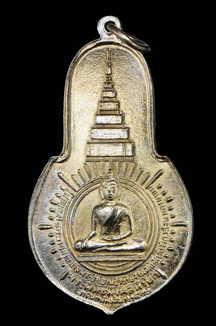 เหรียญเจ้าคุณนร ภปร ใหญ่