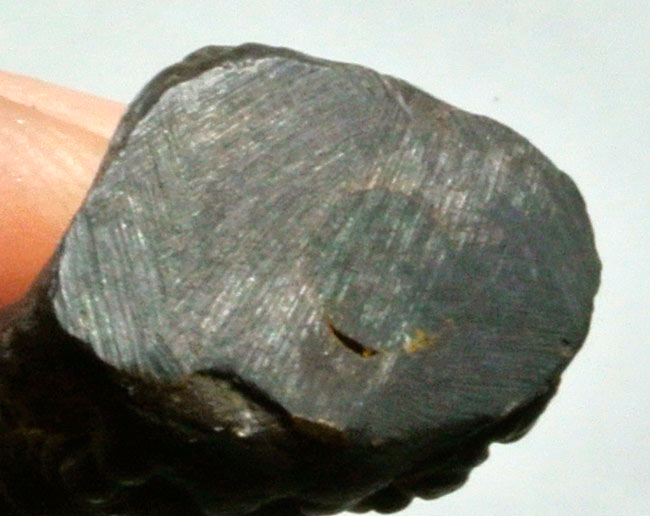 กริ่งดีดน้ำมนต์หรือกริ่งประทานพร หลวงพ่อเงินวัดดอนยายหอม#2