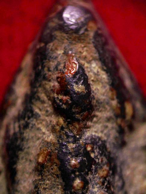 พระรอดหนองมนสนิมแดง