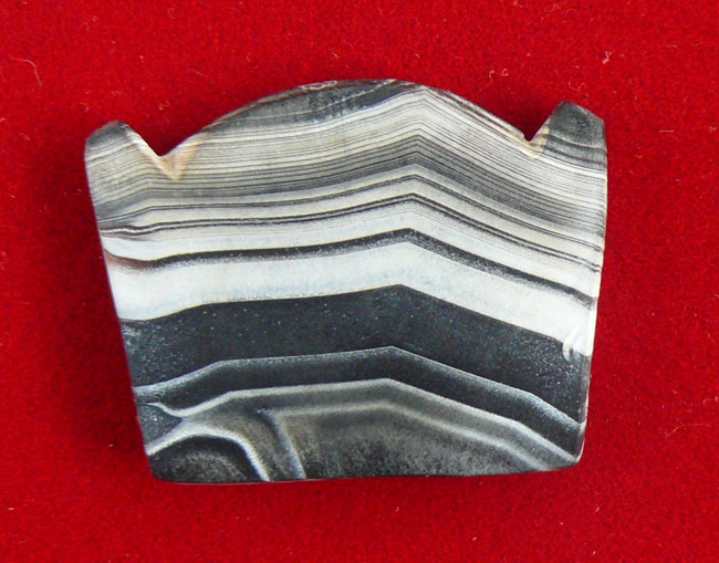 แผ่นเฟิร์มหินแกะ ทวารวดี 