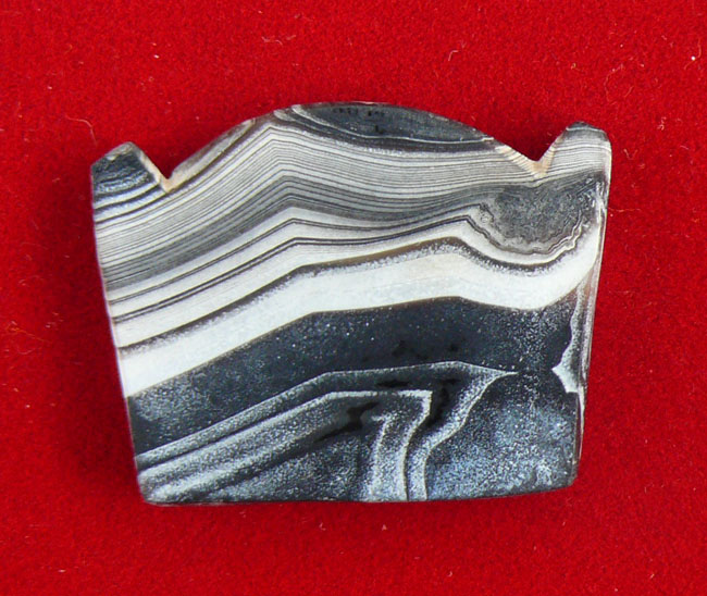 แผ่นเฟิร์มหินแกะ ทวารวดี 