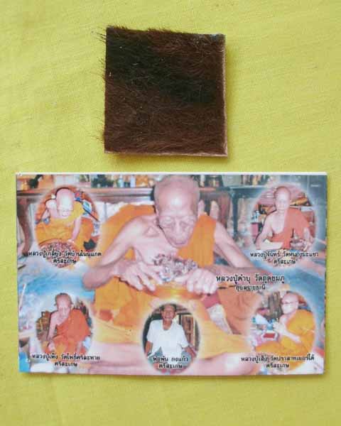 แผ่นหนังเสือพยัคราช ๕ มหาอำนาจ กรรมการ ล.ป.คำบุ "รุ่นเสาร์๕" ปี53 เคาะเดียว 2
