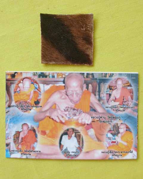แผ่นหนังเสือพยัคราช ๕ มหาอำนาจ กรรมการ ล.ป.คำบุ "รุ่นเสาร์๕" ปี53 เคาะเดียว6