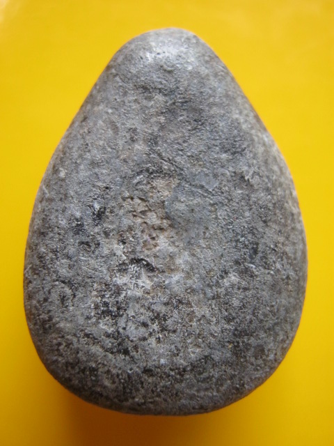 กลีบบัว เนื้อชินตะกั่ว ล.พ ปล้อง วัดหลุมดิน