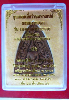 ขุนแผนเนื้อว่านมหาเสน่ห์ผสมผงรกแมว หลวงปู่คำบุ รุ่นเมตตามหาระรวย พิมพ์เล็ก(ว่านไม้กาฝากรักกาฝากหลง)