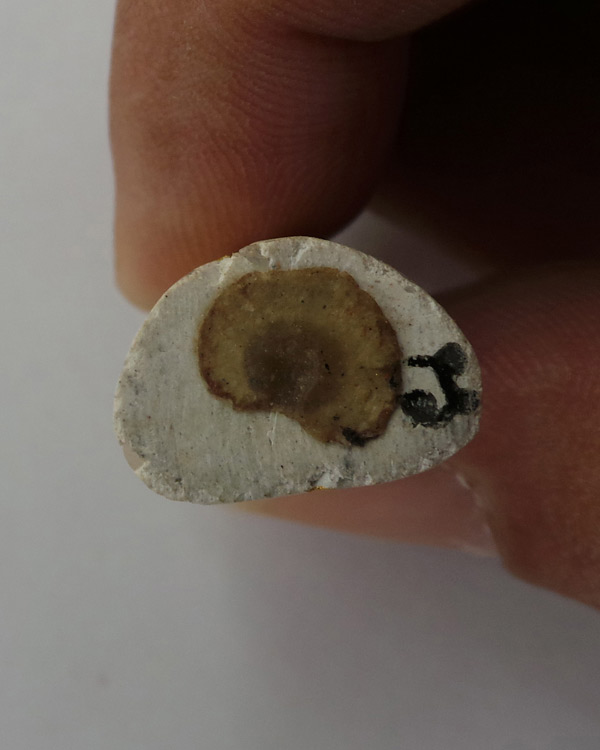 หนุมานเนื้อผงหินเขี้ยวหนุมาน  ไตรมาสปี 43