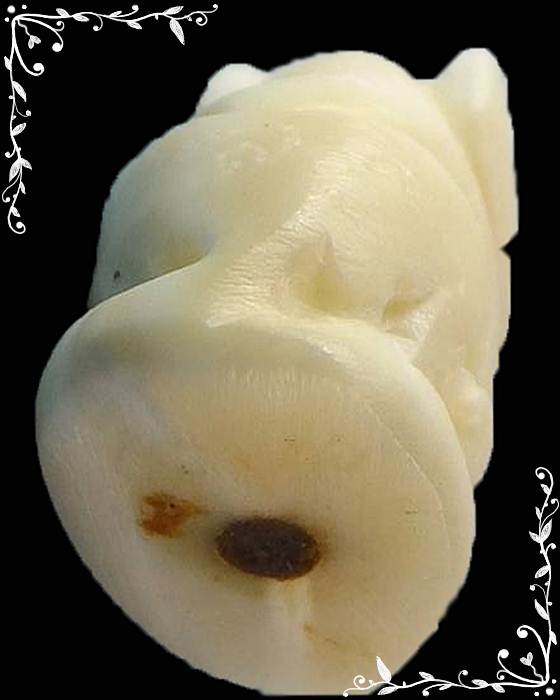 หายาก สร้างน้อยมาก เสือแกะเขี้ยวหมูป่า อุดผงพรายกุมาร หลวงพ่อสิน วัดละหารใหญ่