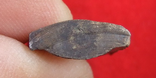 เหรียญพระพุทธสุวรรณภูมิวิทยาลัย สุพรรณบุรี ปี 2511 สภาพสวย มีกริ่ง 