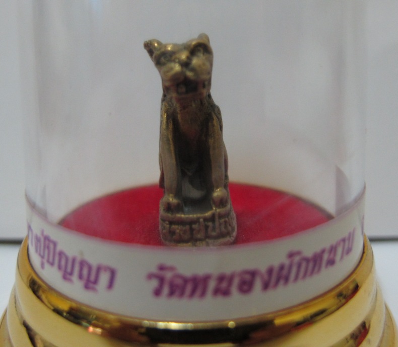 เสือหลวงปู่ปัญญา วัดหนองผักหนาม 
