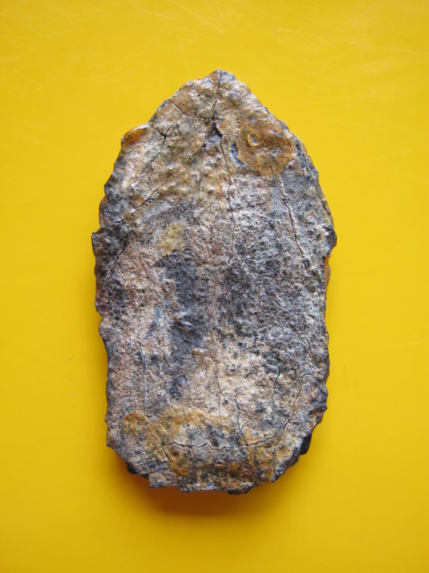 ปรกชินเงิน ไม่ทราบกรุครับ