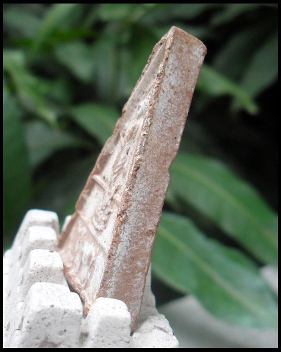 >> เคาะเดียว << พระปลดหนี้เต่า - วัว (2 ขีดนิยม) หลวงพ่อผินะ วัดสนมลาว