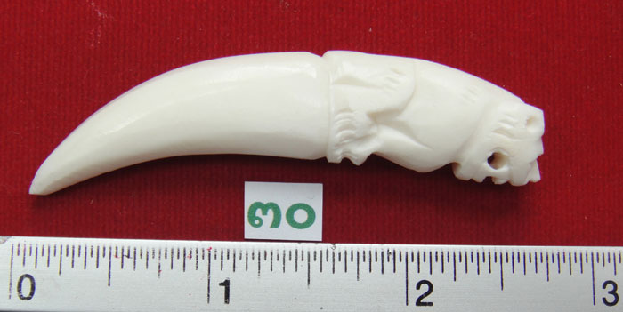 (((วัดใจเคาะเดียว๑๐บาท)))กระดูกแกะเขี้ยวเสือ งานฝีมือประณีตสวยงามคมเข้มขลัง