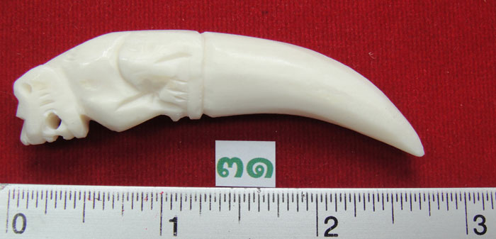 (((วัดใจเคาะเดียว๑๐บาท)))กระดูกแกะเขี้ยวเสือ งานฝีมือประณีตสวยงามคมเข้มขลัง