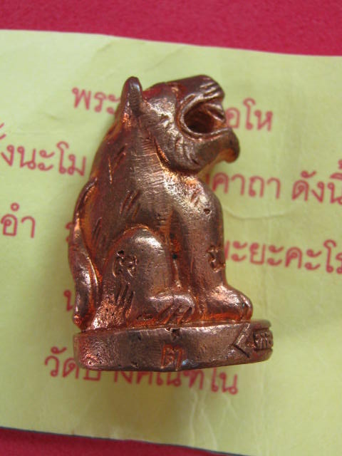 เสือโหรุ่นแรก ลพ.ตี๋ วัดบางคณฑีใน สมุทรสงคราม ตอกโค้ต มีจาร...1