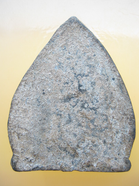 นารายณ์ทรงปืน เนื้อชิน