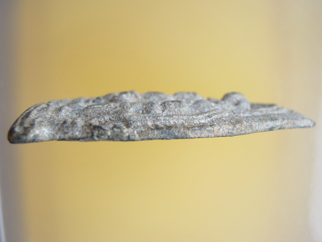 นารายณ์ทรงปืน เนื้อชิน