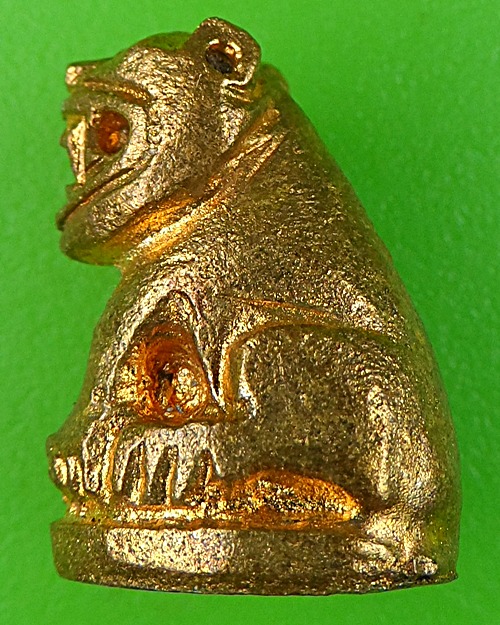 เสือวัดปีกกา คลองด่าน