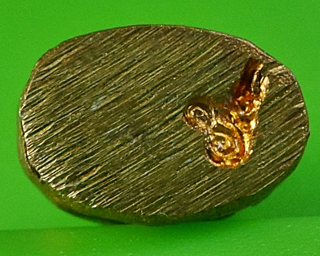 เสือวัดปีกกา คลองด่าน