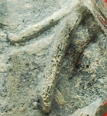 เชียงแสน พิมพ์ก้ามปู เนื้อตะกั่วสนิมแดง เลี่ยมกันน้ำ