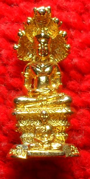 -40-พระนาคปรก สำนักปฎิบิติธรรมหลวงปู่บุดดา ถาวโร เคาะเดียว