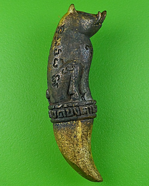 หมูทองแดงเขี้ยวทอง รุ่น1 หลวงพ่อสมคิด วัดบึงตาต้า