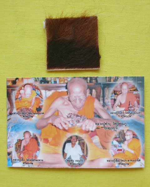 แผ่นหนังเสือพยัคราช ๕ มหาอำนาจ กรรมการ ล.ป.คำบุ "รุ่นเสาร์๕" ปี53 เคาะเดียว A5