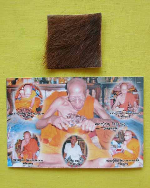แผ่นหนังเสือพยัคราช ๕ มหาอำนาจ กรรมการ ล.ป.คำบุ "รุ่นเสาร์๕" ปี53 เคาะเดียว A6