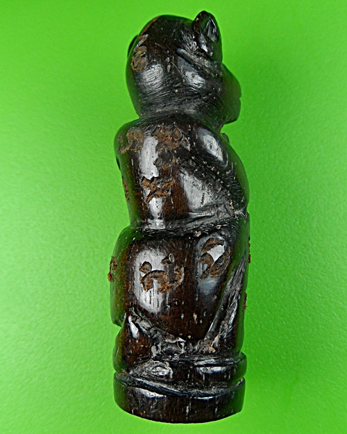 ลิงอาจารย์นันต์ วัดบางพลีน้อย สป