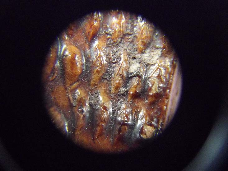 ราคาพิเศษค่ะกล้องส่องพระ BAUSCH & LOMB 10X Coddington รุ่นเก่าพร้อมซองหนังจัดส่งEMS 