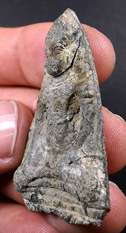 พระเทริดลพบุรี ไม่ทราบกรุ เนื้อชินเงิน 