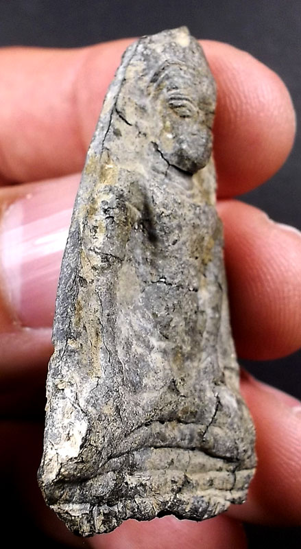 พระเทริดลพบุรี ไม่ทราบกรุ เนื้อชินเงิน 