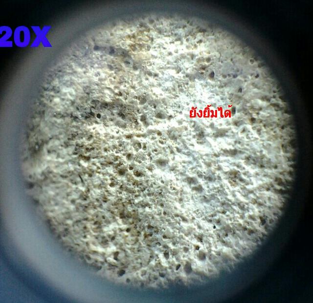 กล้องส่องพระ PEAK 20x (MADE IN JAPAN) สินค้าลิขสิทธิ์แท้จากญี่ปุ่น เคาะเดียวแดงส่งEMSให้เลย