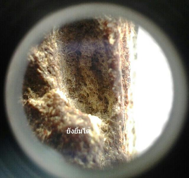 กล้องส่องพระ PEAK 20x (MADE IN JAPAN) สินค้าลิขสิทธิ์แท้จากญี่ปุ่น เคาะเดียวแดงส่งEMSให้เลย