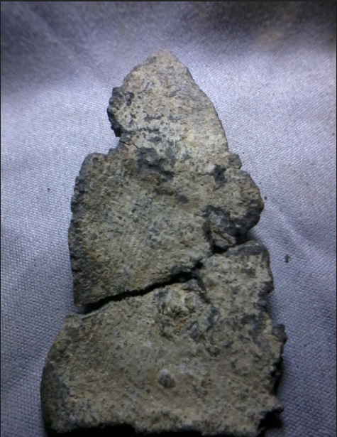 พระเนื้อชิน สภาพ ตามรูป