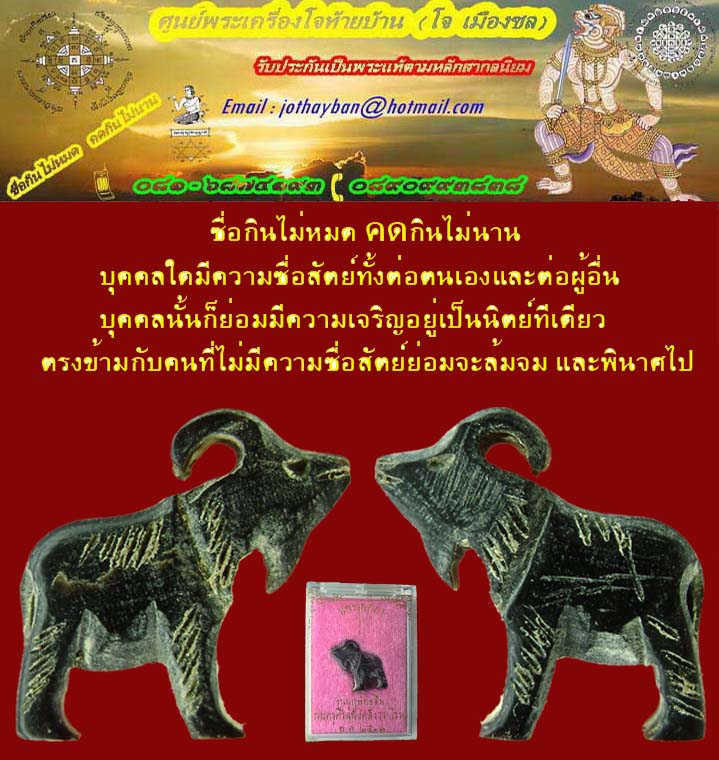 แพะเมตตาหลวงพ่อเริ่มปรโม วัดจุกกะเฌอ ชลบุรี