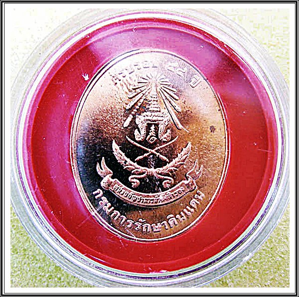 เหรียญพระนอน หลัง ภปร.